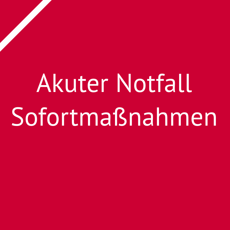 Der akute Notfall